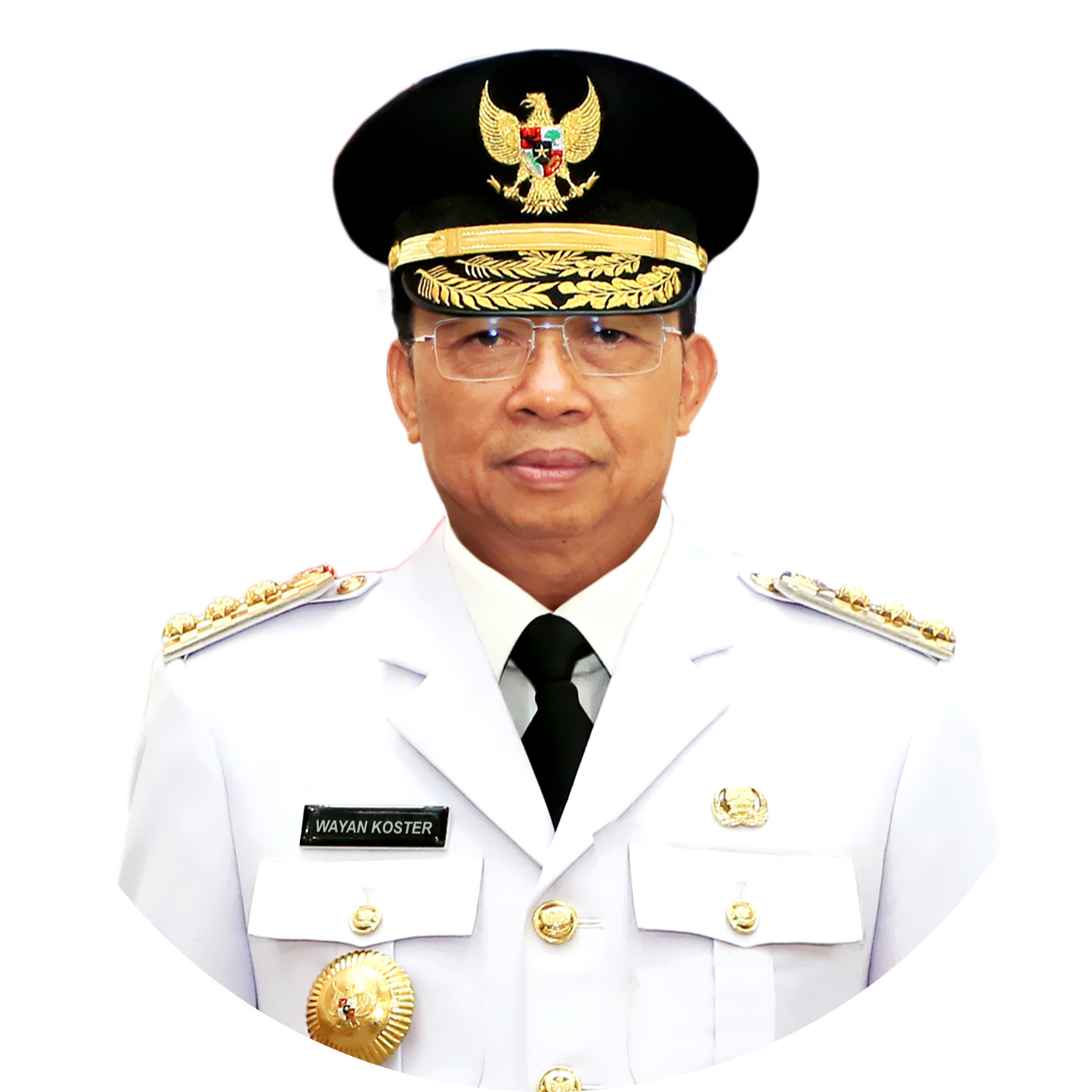 Wayan Koster
